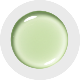 Avellana Leaf Extract