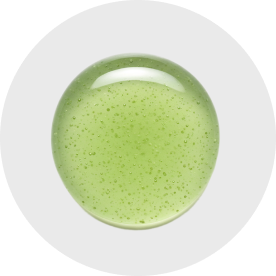Celery Seed Extract